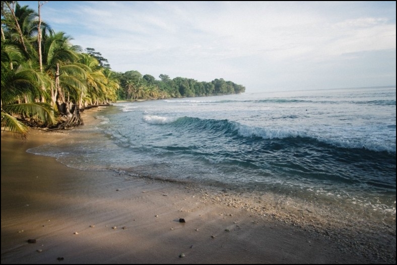 strandhauspalme.de header